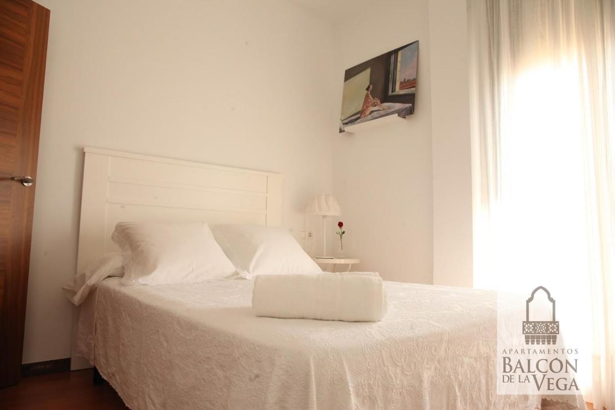 Apartamentos Balcon De La Vega Almodóvar del Río Екстериор снимка